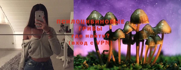 a pvp Беломорск